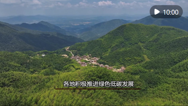 5月10日正式開采！遂溪烏塘仙品荔跑好廣東荔枝營(yíng)銷第一棒