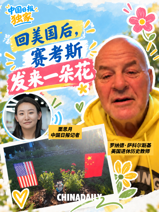 穀歌翻譯國(guó)內(nèi)可用版下載