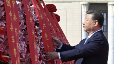小佩寵物app官方版下載