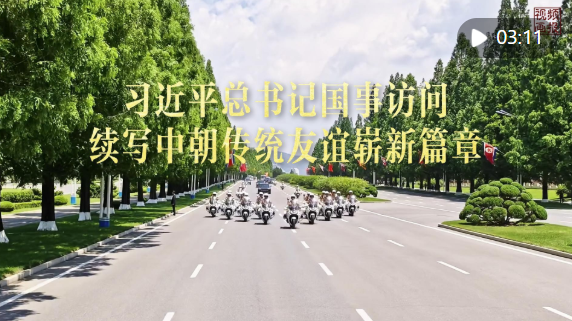 番茄音樂app官方正版下載