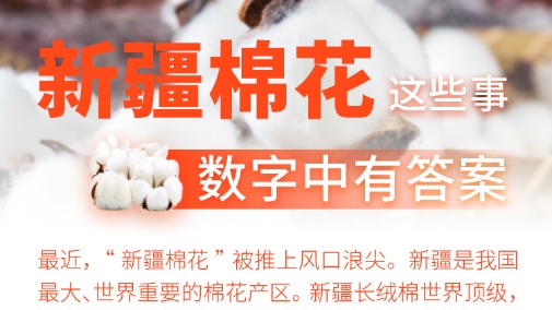 返程注意！6日這些高速易擁堵、服務區充電特別繁忙